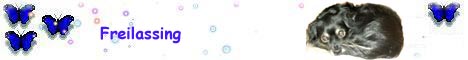 Freilassing