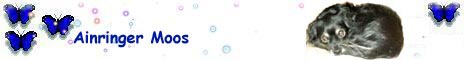 Ainringer_Moos_2