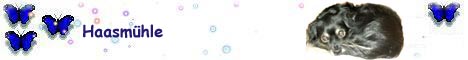 haasmuehle
