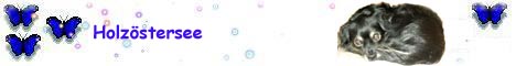 Holzoestersee