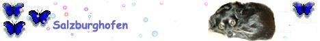 Salzburghofen_2