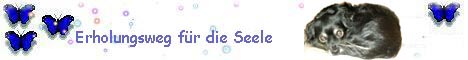 Seelebaumelweg_2
