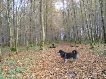 image008.jpg
