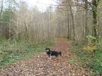 image010.jpg