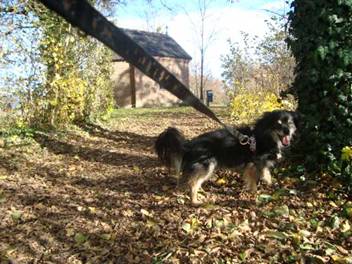 image010.jpg