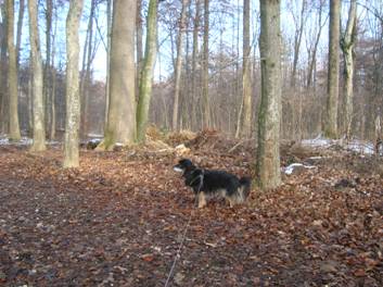 image006.jpg