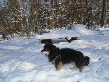 image015.jpg