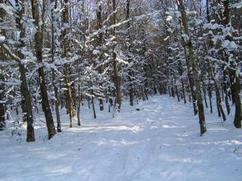 image021.jpg