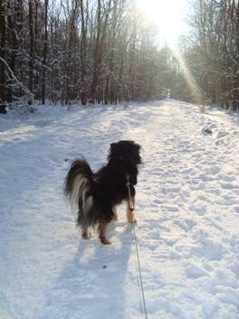 image017.jpg