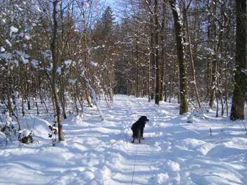 image026.jpg