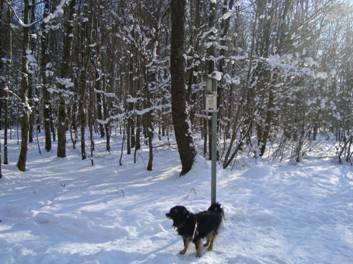 image028.jpg