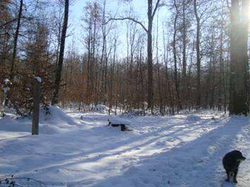 image030.jpg