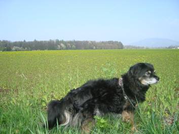 image004.jpg