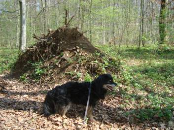 image008.jpg