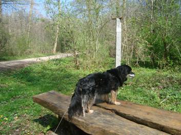 image010.jpg