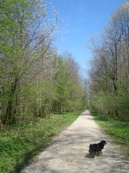 image012.jpg