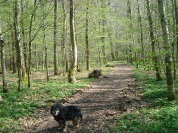 image014.jpg