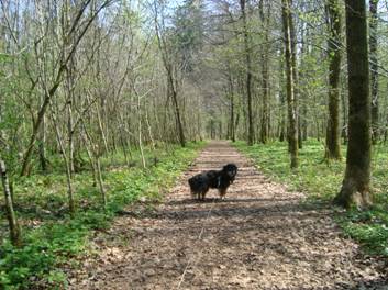 image016.jpg