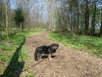 image020.jpg