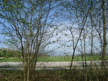 image022.jpg