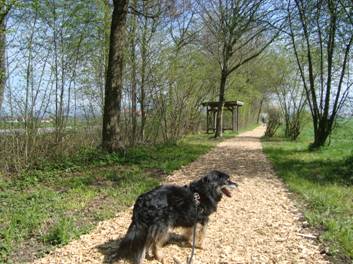 image024.jpg