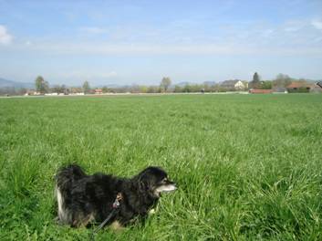 image026.jpg