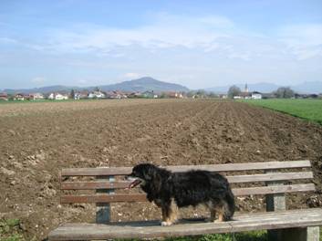 image030.jpg