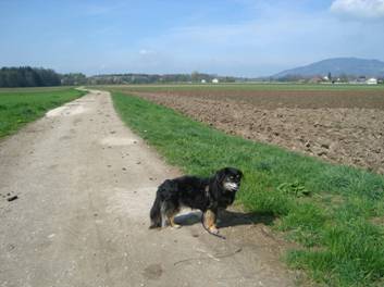 image034.jpg