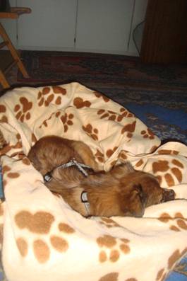 image014.jpg