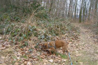 image006.jpg