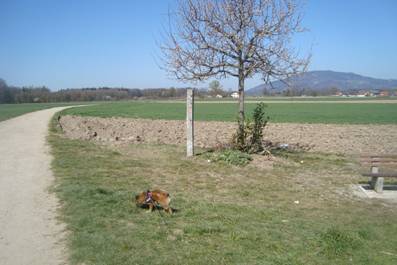 image026.jpg