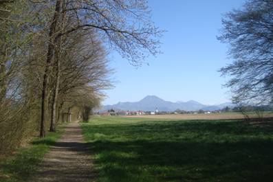 image036.jpg