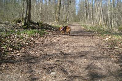 image033.jpg