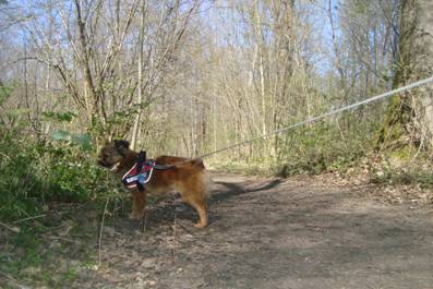 image035.jpg