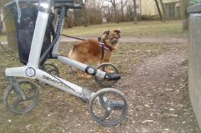 image039.jpg