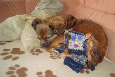 image011.jpg