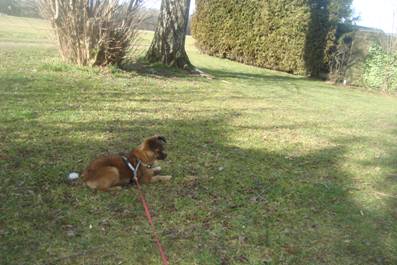 image020.jpg
