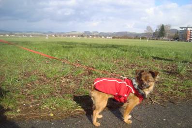 image014.jpg