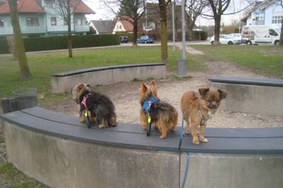 image020.jpg
