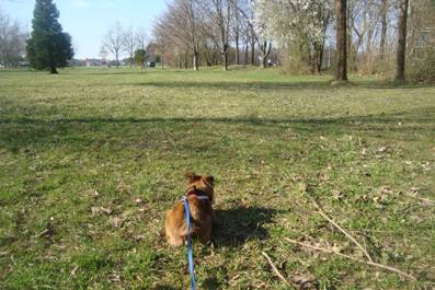 image034.jpg