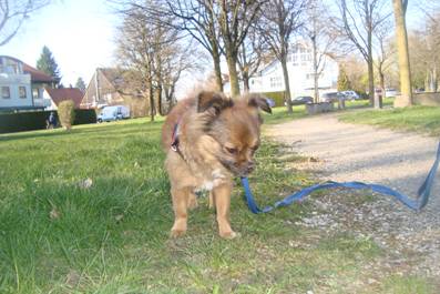 image038.jpg