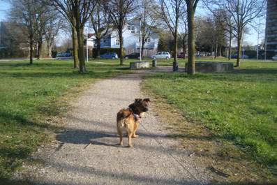 image040.jpg