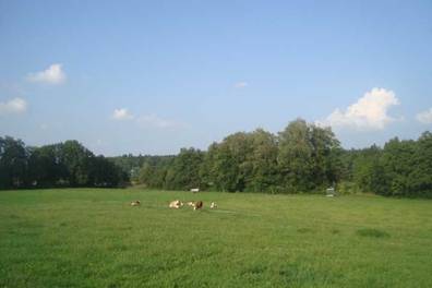 image035.jpg