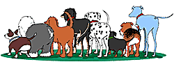 image021.gif