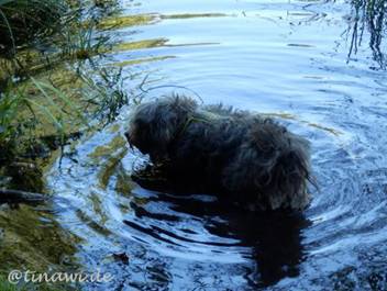 image021