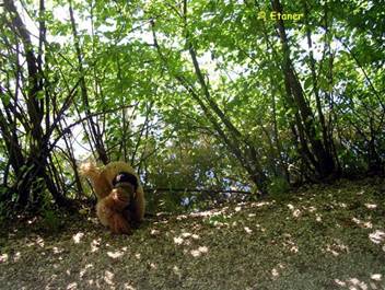 image027