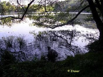 image033