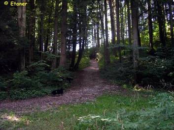 image044