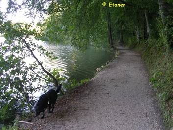 image046