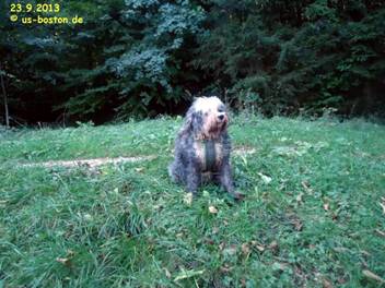 image045